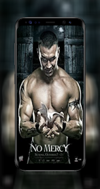 Image 2 for Randy Orton Wallpapers HD…