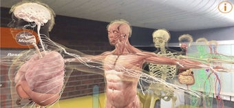 Image 0 for Human Anatomy 4D-Mixed Re…