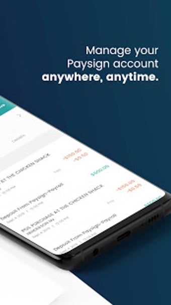 Image 1 for Paysign