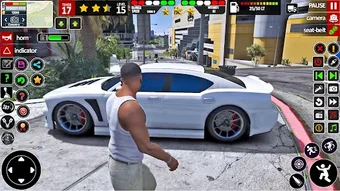 Image 0 for Samo: Open World Car