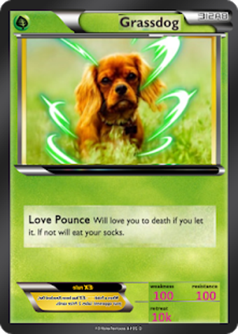 Image 1 for Poke Card Maker