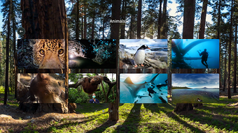 Imagen 2 para National Geographic VR