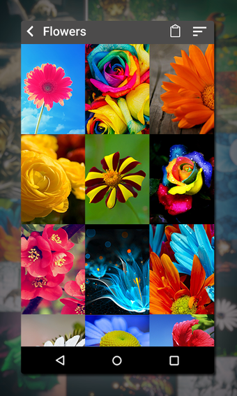 Imagen 1 para Gallery