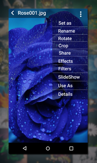 Image 0 for Gallery