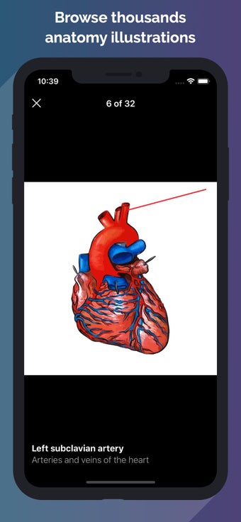 Image 3 for Easy Anatomy - Atlas & Qu…
