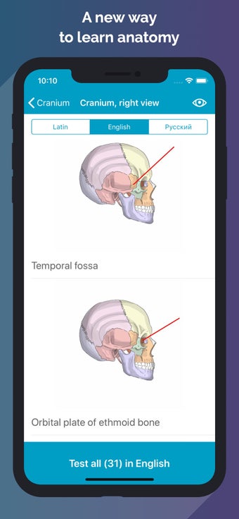 Image 0 for Easy Anatomy - Atlas & Qu…