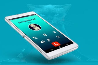 Image 3 for TOM fake call for cat pra…