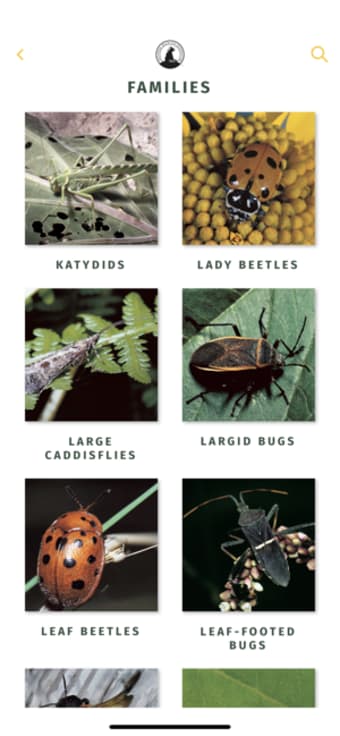Image 1 for NWF Guide to Insects & Sp…