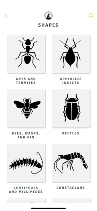 Image 3 for NWF Guide to Insects & Sp…