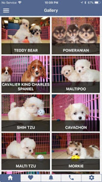 Image 0 for Puppy Notify