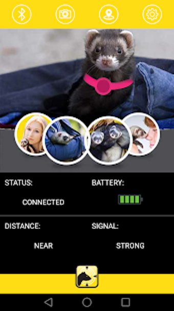 Imagen 2 para Marshall Pet Ferret Finde…
