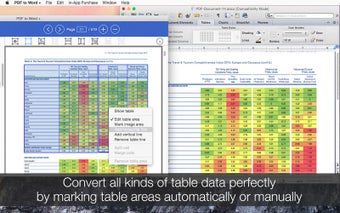 Image 0 for PDF to Word +