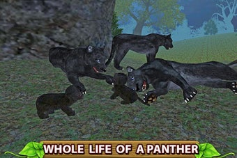 Image 1 for Furious Panther Family Si…