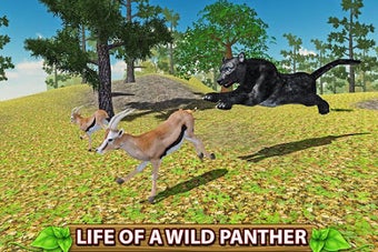 Image 1 for Furious Panther Family Si…
