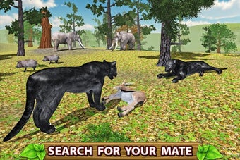 Image 0 for Furious Panther Family Si…