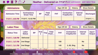 Image 0 for Mobile Midwife EHR
