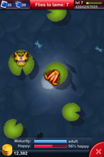 Image 0 for Pocket Frogs - Free pet f…