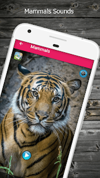 Imagen 1 para 150 Animal Sounds