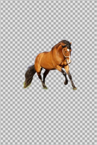 Image 0 for Pro KnockOut-Photo Editor…