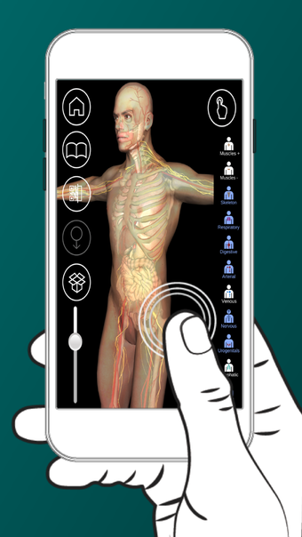 Image 2 for AR Anatomy 4D+