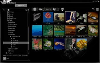 Imagen 0 para Light Developer