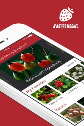 Imagen 0 para Wild Berries and Herbs 2 …