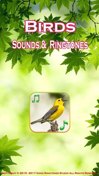 Image 0 for Birds Sounds Ringtones