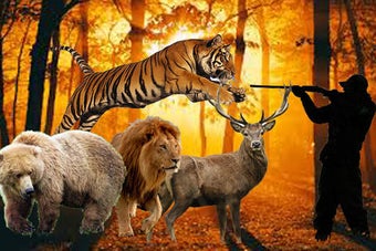 Image 0 for Animal Hunter 2016