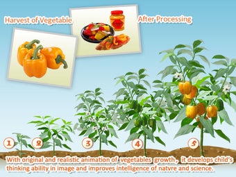 Imagen 4 para Baby Plants Vegetables 2