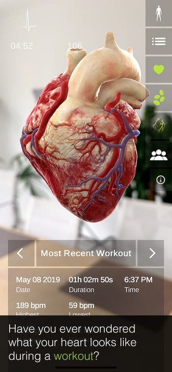 Image 3 for INSIGHT HEART