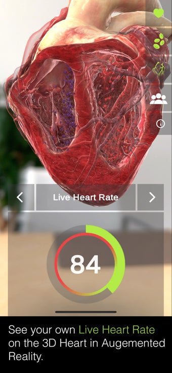 Image 0 for INSIGHT HEART