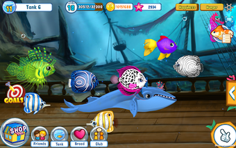 Image 0 for Fish Adventure Seasons