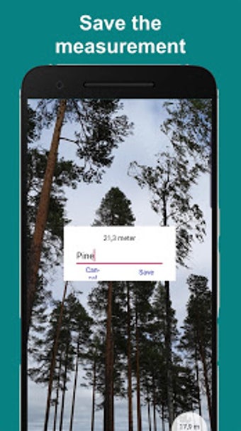 Image 1 for Arboreal - Height of Tree