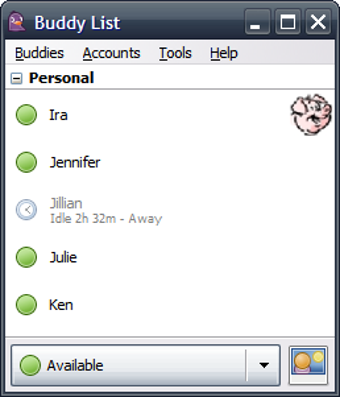 Imagen 0 para Pidgin Portable