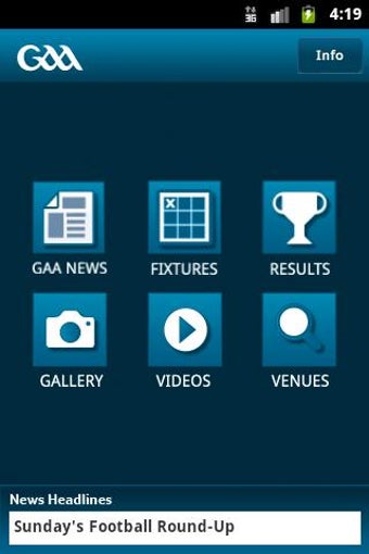 Image 3 for Official GAA