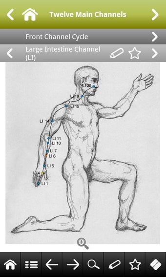 Imagen 1 para Acupuncture pocket