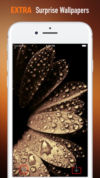 Image 2 for Black and Gold Wallpapers…