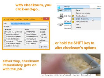 Imagen 0 para Checksum