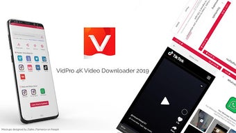 Image 0 for VidPro  Video Downloader …