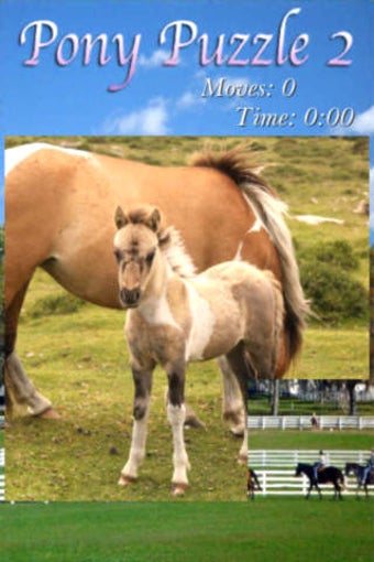 Imagen 0 para Pony Puzzle 2