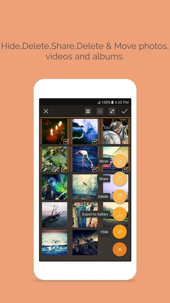 Image 3 for Photo Locker & Video Lock…