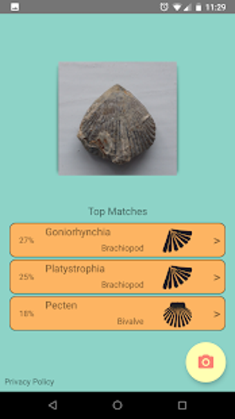 Imagen 1 para DeepFossil - Fossil ID