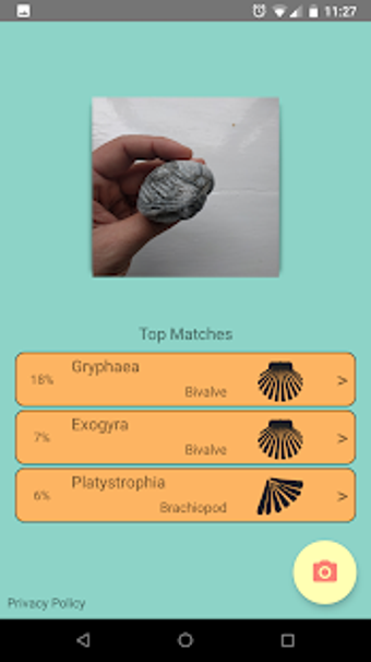 Imagen 3 para DeepFossil - Fossil ID