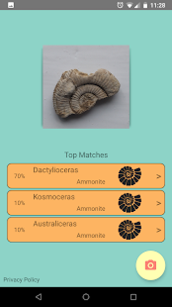 Imagen 0 para DeepFossil - Fossil ID