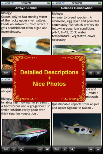 Image 0 for Tropical Fish Encyclopedi…