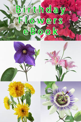 Image 0 for Birthday Flowers eBook