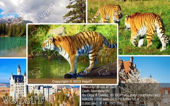 Image 3 for Watermark Sense