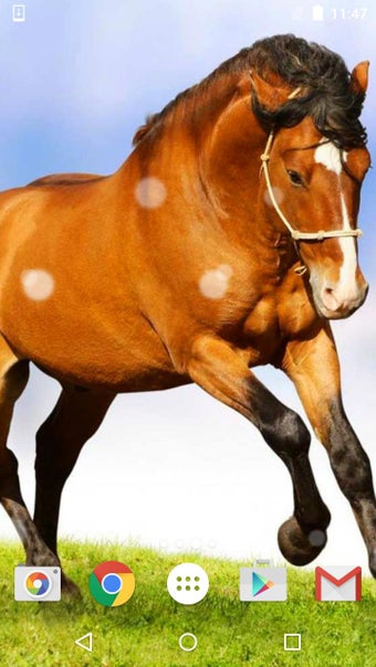 Image 0 for Horses Live Wallpaper HD