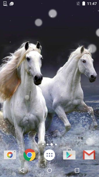 Image 1 for Horses Live Wallpaper HD