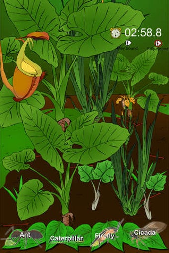 Image 0 for Find The Hidden Insects